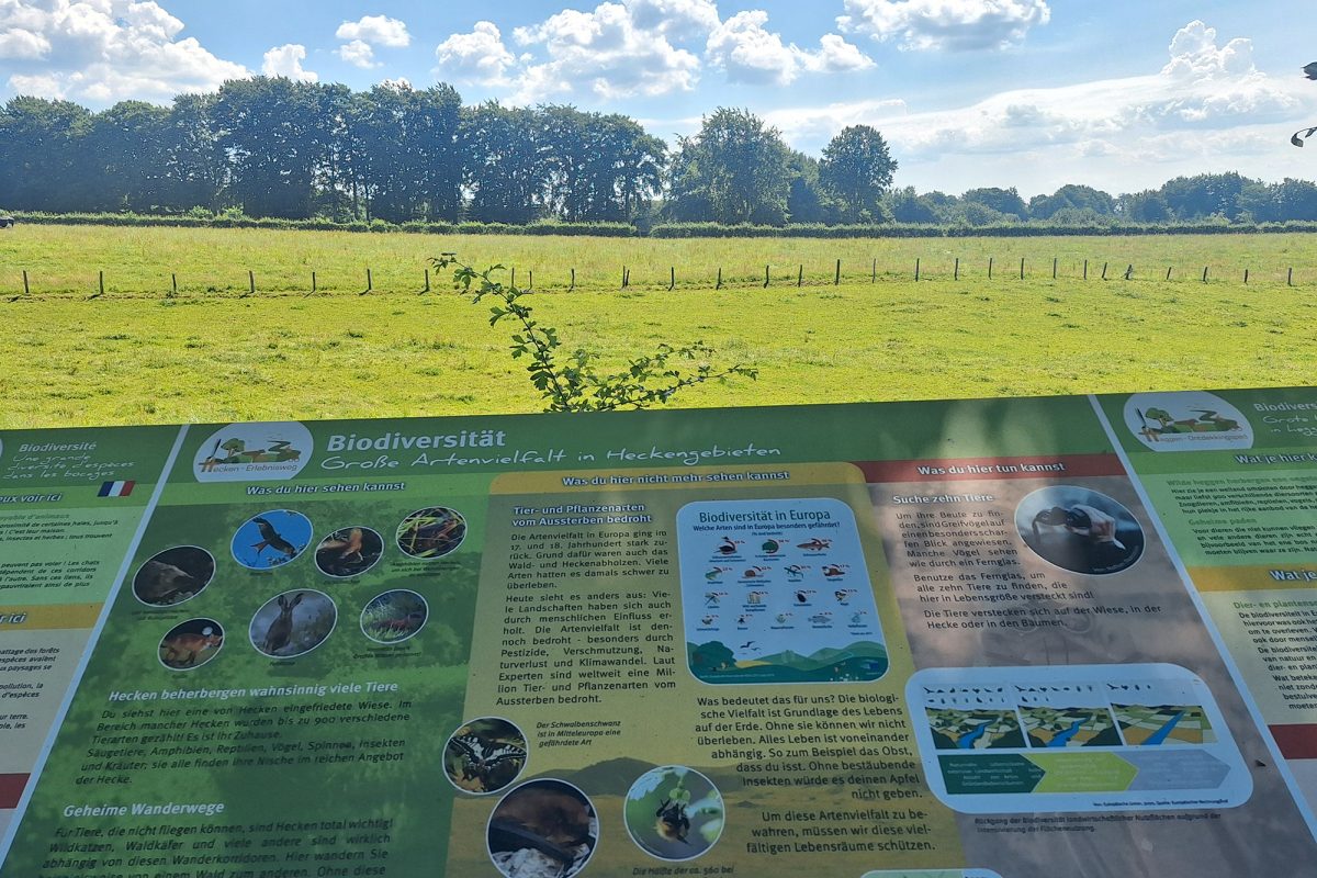 Informationstafel zum Hecken-Erlebnisweg