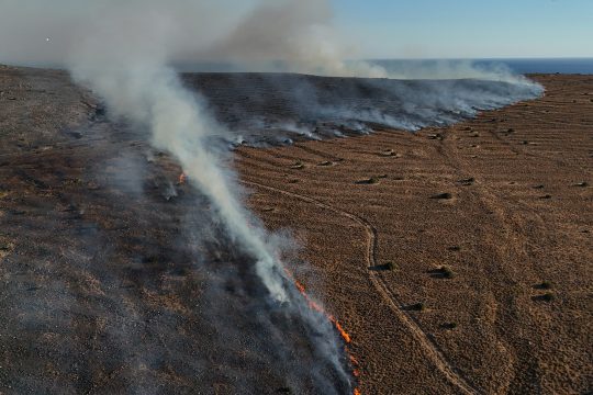 Brände in der türkischen Provinz Izmir