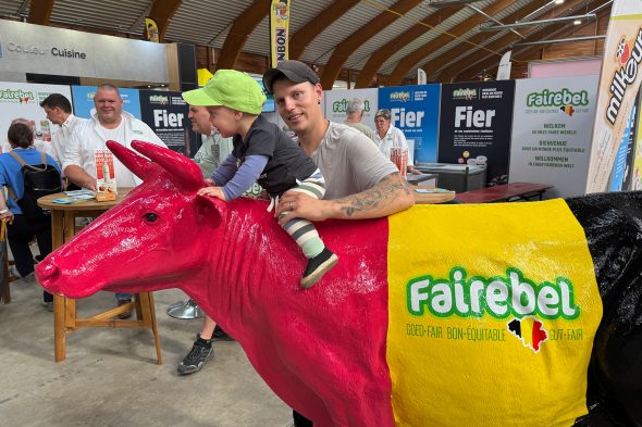 Fairebel-Kuh auf der Landwirtschaftsmesse Libramont
