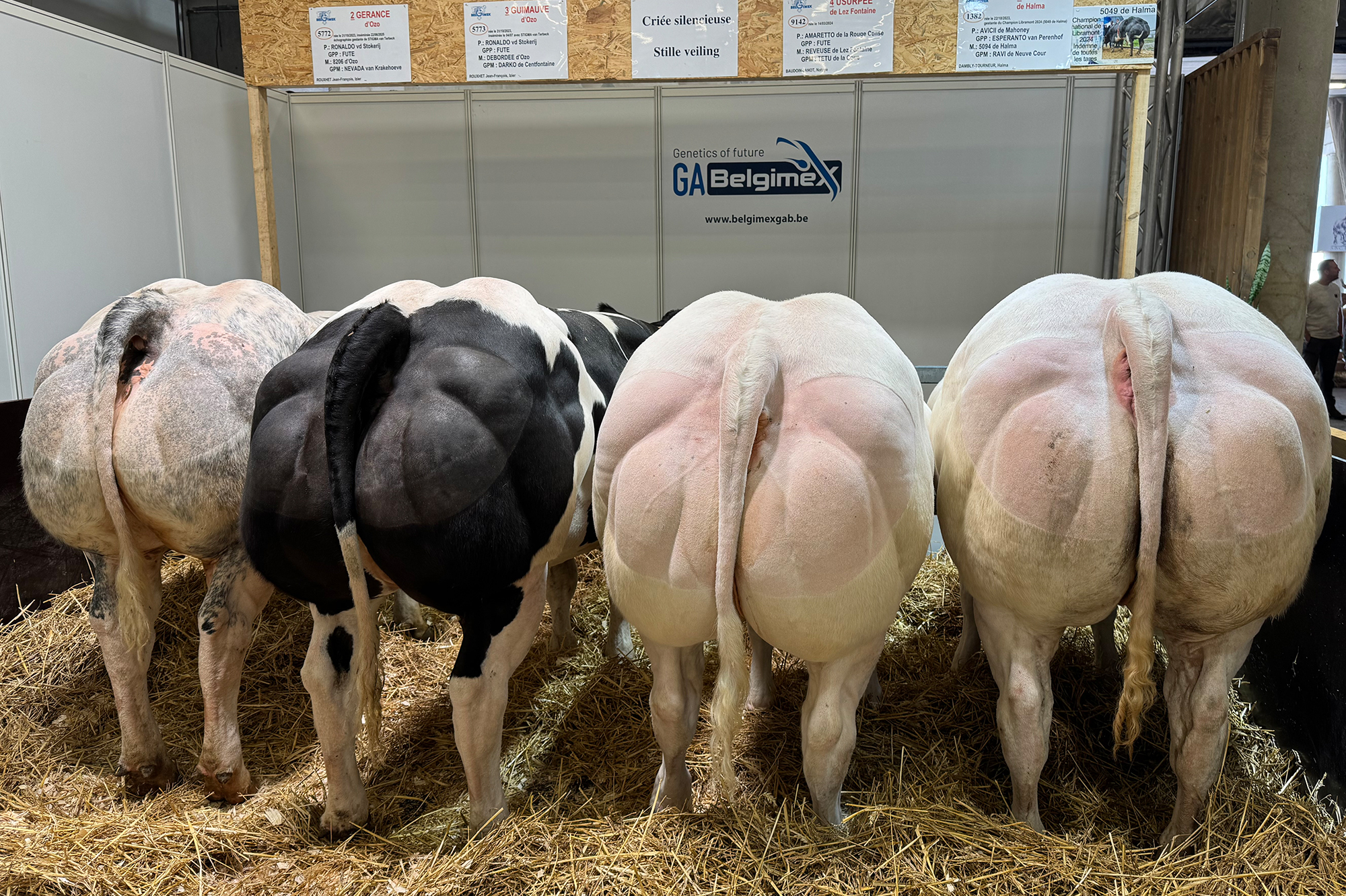 Foire-de-Libramont-er-ffnet-Landwirtschaft-geht-uns-alle-an-