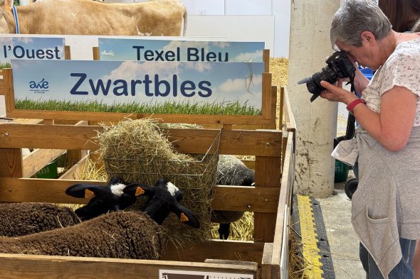 Landwirtschaftsmesse Libramont