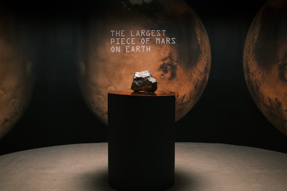 Das größte bekannte Gesteinsstück des Mars ist versteigert worden