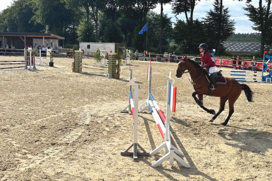 Eine Reiterin überspringt mit ihrem Pferd ein Hindernis