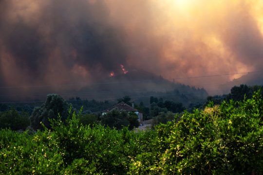 Waldbrand in der Türkei