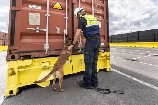 Zollbeamter und Drogenspürhund im Hafen von Anwerpen