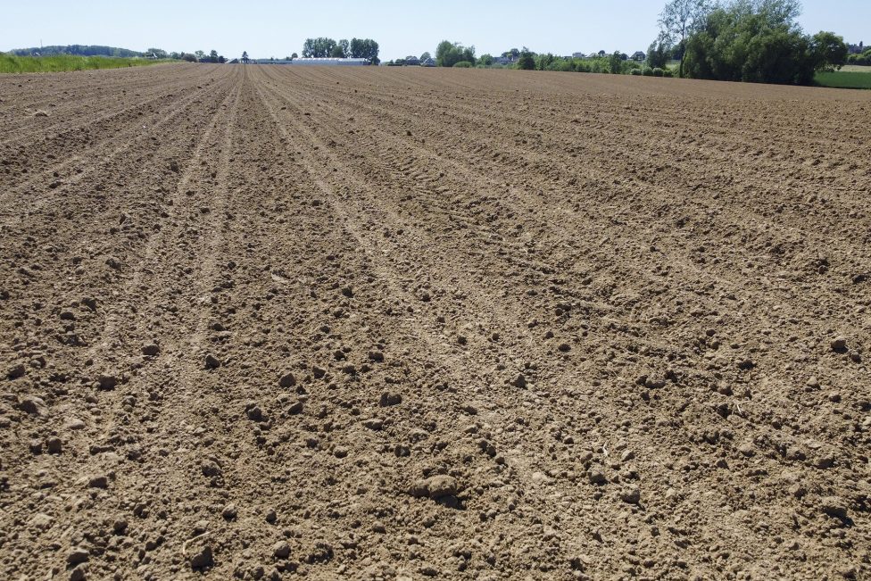 Trockenes Feld wegen Dürre in Flandern