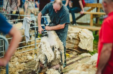 Landwirtschaftsmesse Battice (Illustrationsbild: Veranstalter)