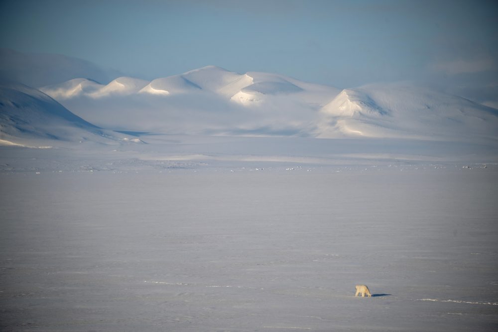 Gletscher auf Spitzbergen