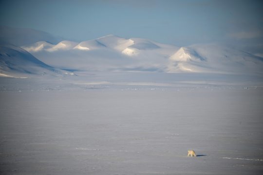 Gletscher auf Spitzbergen