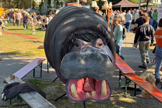 Straßenkünstlerfestival "HAASte Töne?!" 2025