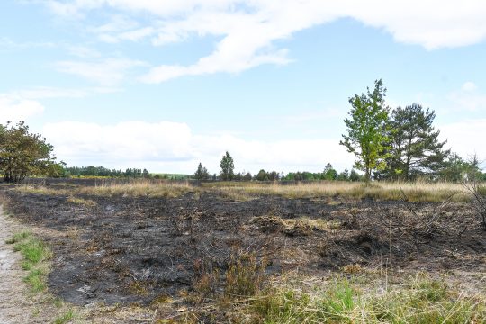 Das Naturschutzgebiet Mechelse Heide nach einem Brand am 22. Mai 2025