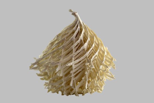 Werk der ersten Preisträgerin, Murielle Hansotte