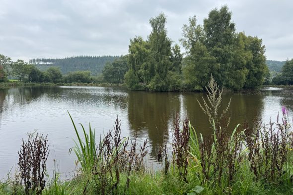 Rechter Weiher