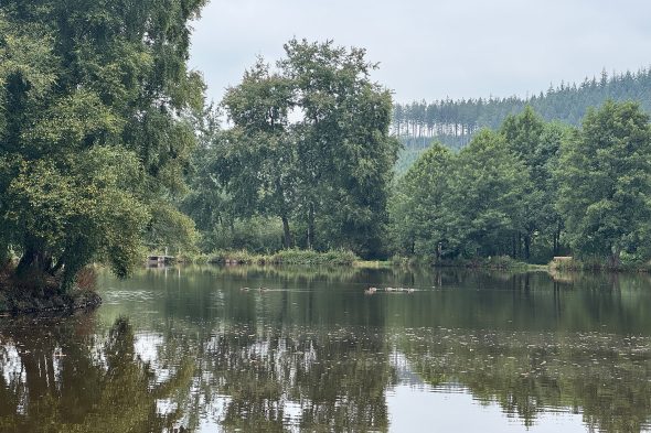 Rechter Weiher