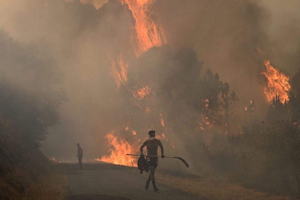 Waldbrand in der nordwestlichen spanischen Provinz Ourense am 13. August 2025