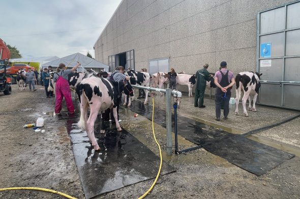 Landwirtschaftsmesse in Battice