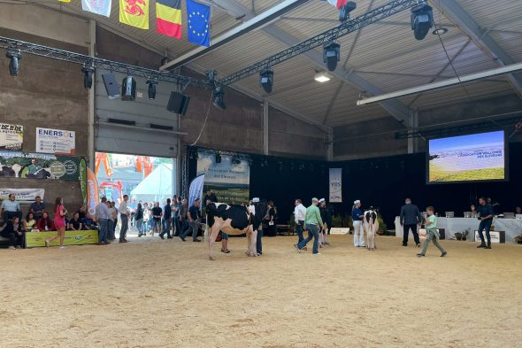 Landwirtschaftsmesse in Battice