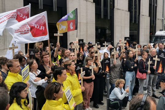 Demo für Verhütungsmittel vor US-Botschaft in Brüssel