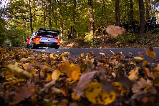 Thierry Neuville/Martijn Wydaeghe bei der Central European Rallye 2024