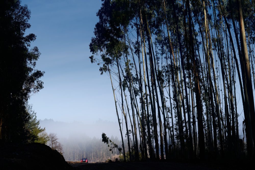 Thierry Neuville/Martijn Wydaeghe bei der Rallye Chile