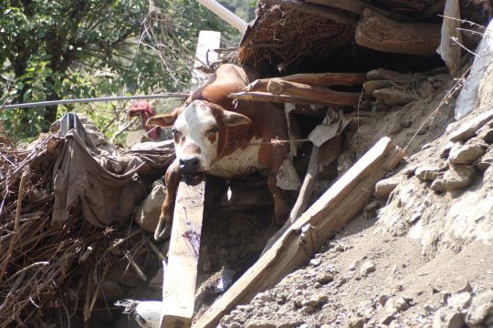 Erneutes Erdbeben in Afghanistan am 4. September