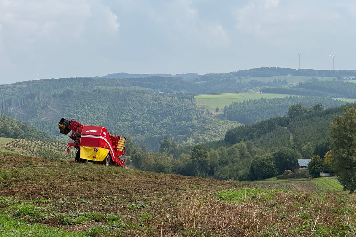 Erntemaschine auf dem Feld