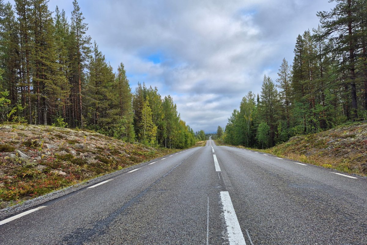 Landstraße mit Waldlandschaft nach beiden Seiten