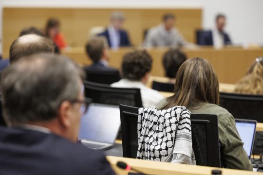 Sitzung des Ausschusses für Außenbeziehungen im Föderalparlament, über einer Stuhllehne hängt ein Palästinensertuch