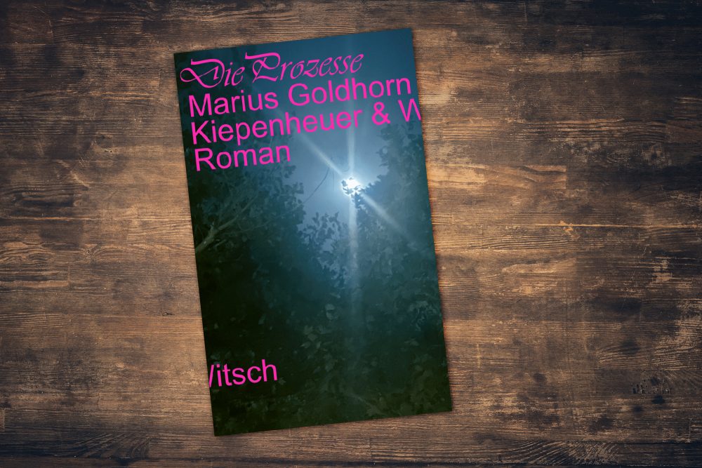 "Die Prozesse" von Marius Goldhorn
