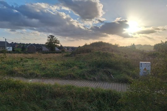 Wiese, auf der gebaut werden soll