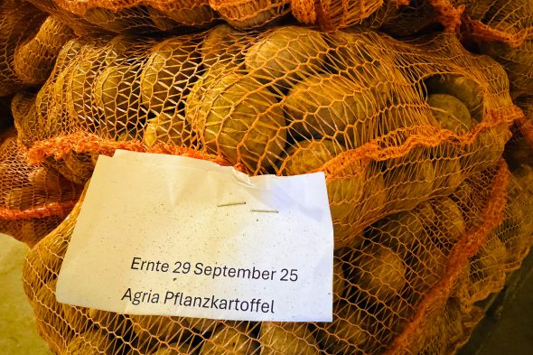 Kartoffeln von Robert Wangen