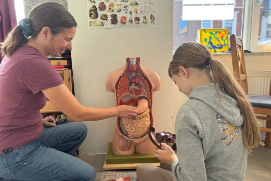 Mutter und Tochter schauen sich ein Modell des menschlichen Körpers an