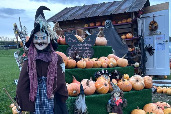 Halloween-Hexen