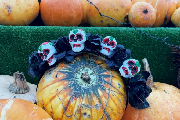 Halloween-Deko auf und zwischen den Kürbissen