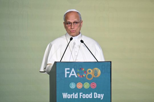 Papst Leo XIV bei seiner Rede am Sitz der FAO in Rom