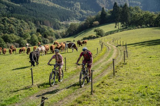 Mountainbiker auf einem Feldweg in Ostbelgien