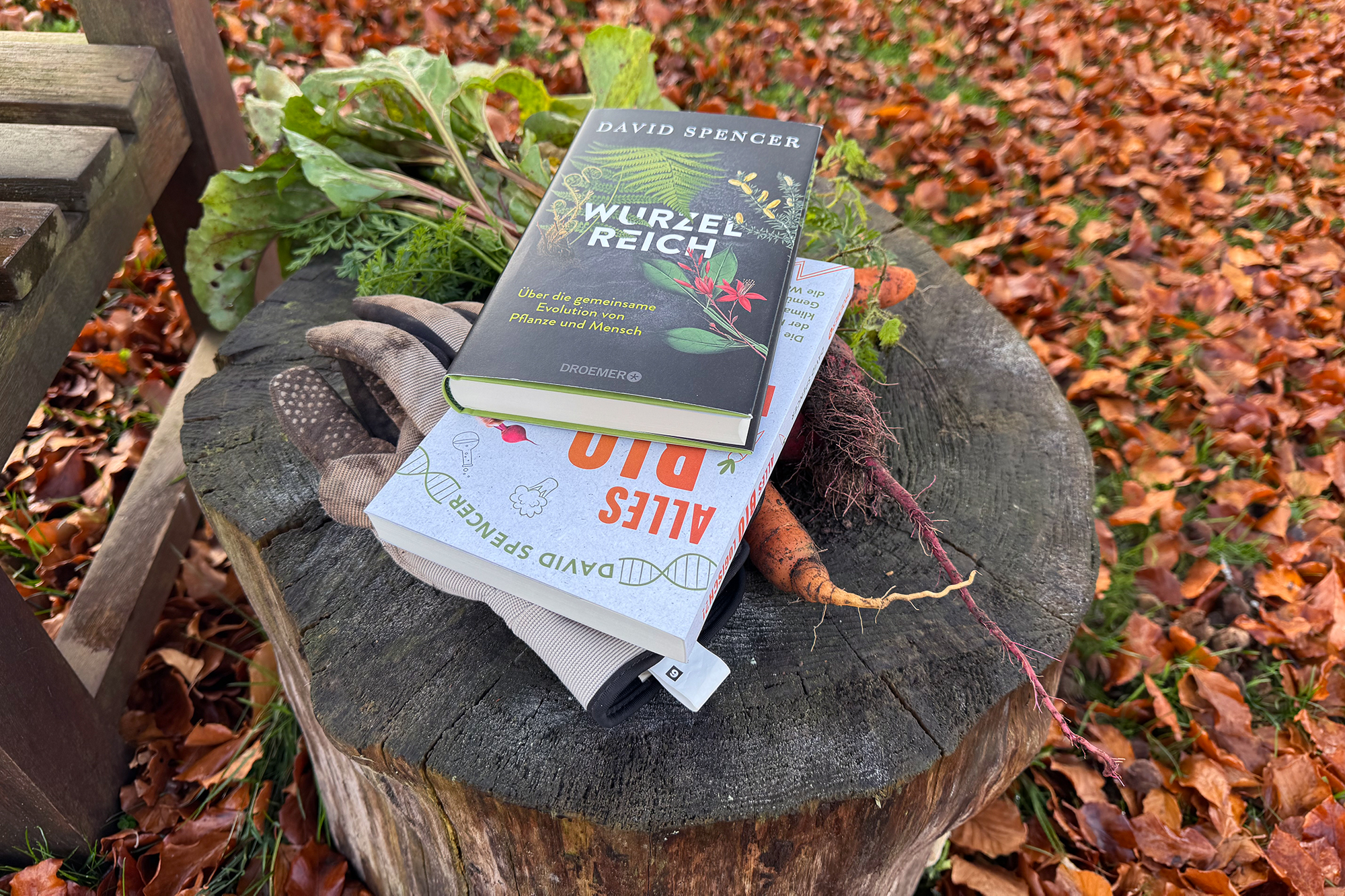 "Wurzelreich" von David Spencer