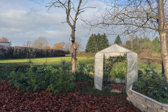 Im Garten von David Spencer