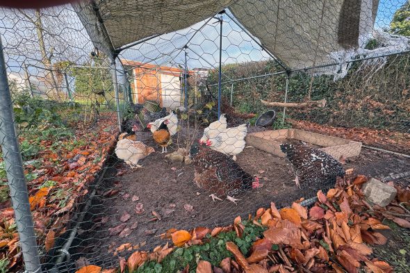 Im Garten von David Spencer