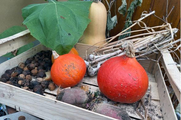 Im Garten von David Spencer