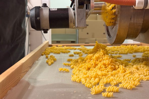 Die Nudeln kommen aus der Maschine