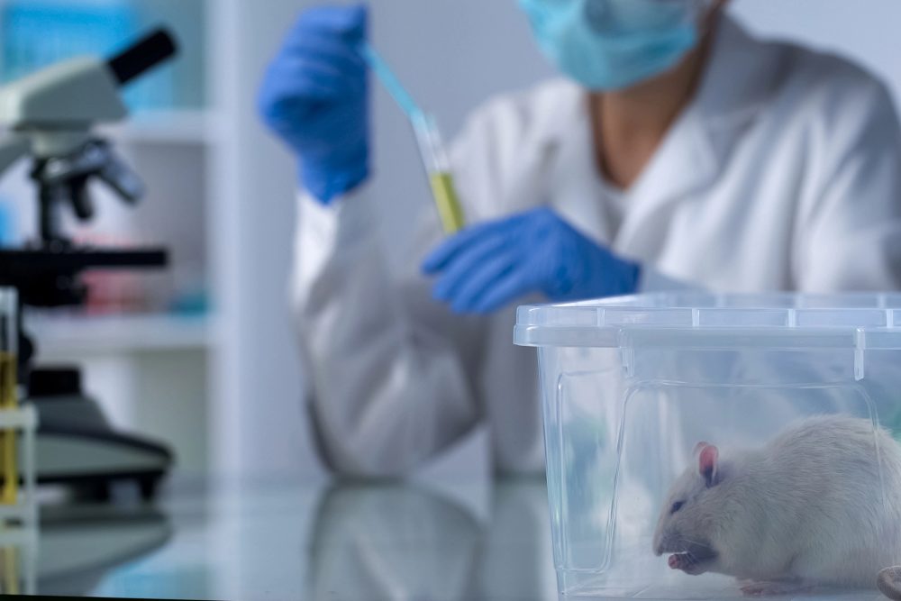 Laborant mit Maske, die Hände halten Pipette und Probenentnahmeröhrchen, Mikroskop und Käfig mit weißer Maus im Vordergrund