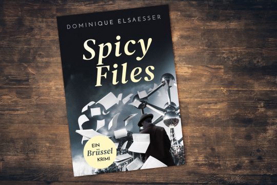 Cover von "Spicy Files" von Dominique Elsaesser
