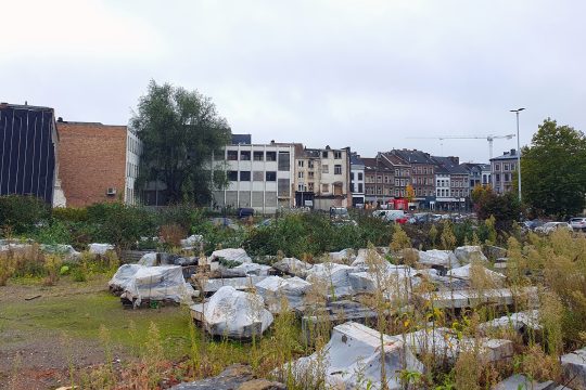 brach liegendes Grundstück mit Häusern im Hintergrund