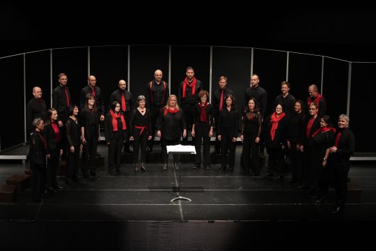 Vokalensemble Carmina Viva