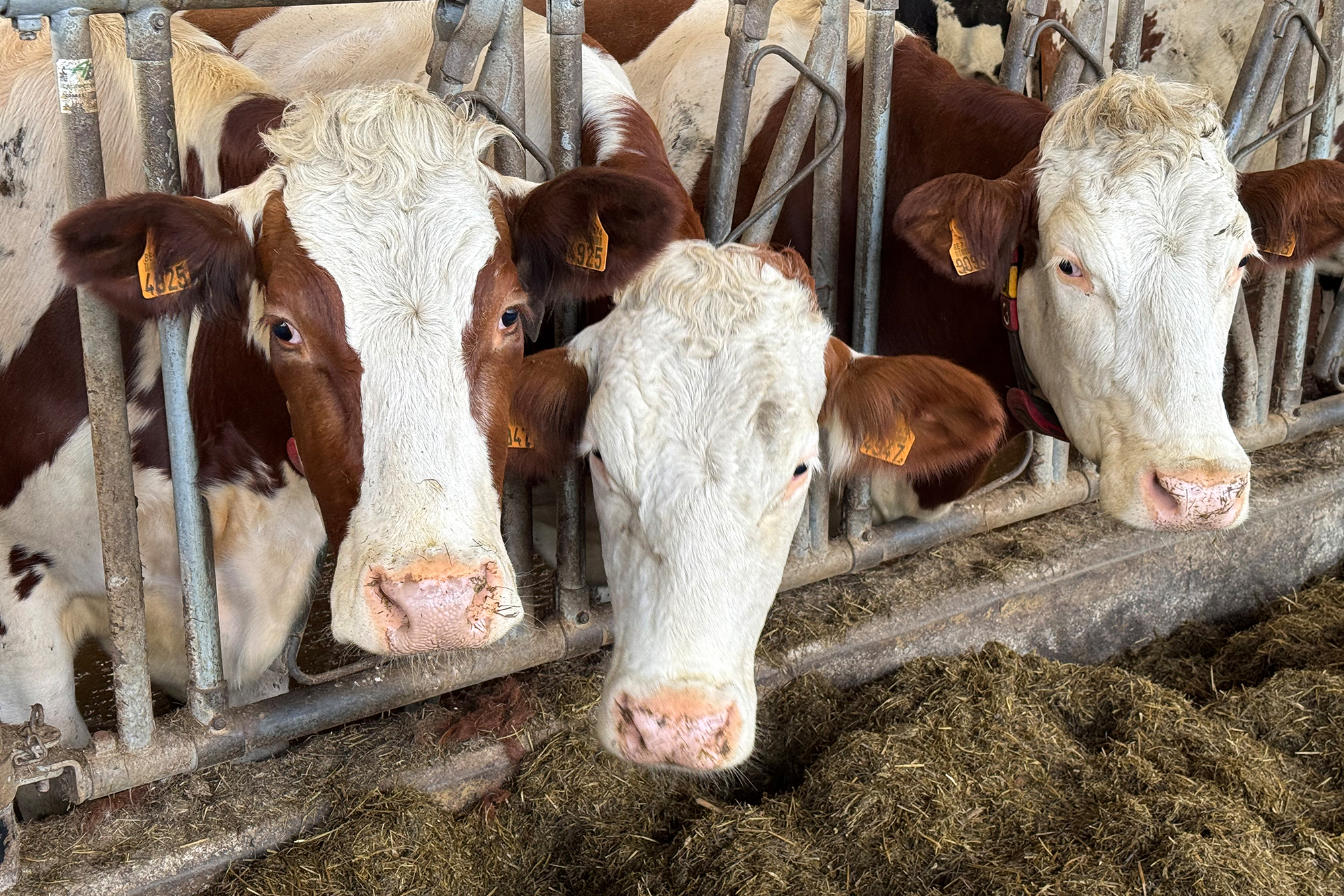 40-Jahre-Agra-Ost-Forschen-beraten-begleiten-f-r-Ostbelgiens-Landwirtschaft