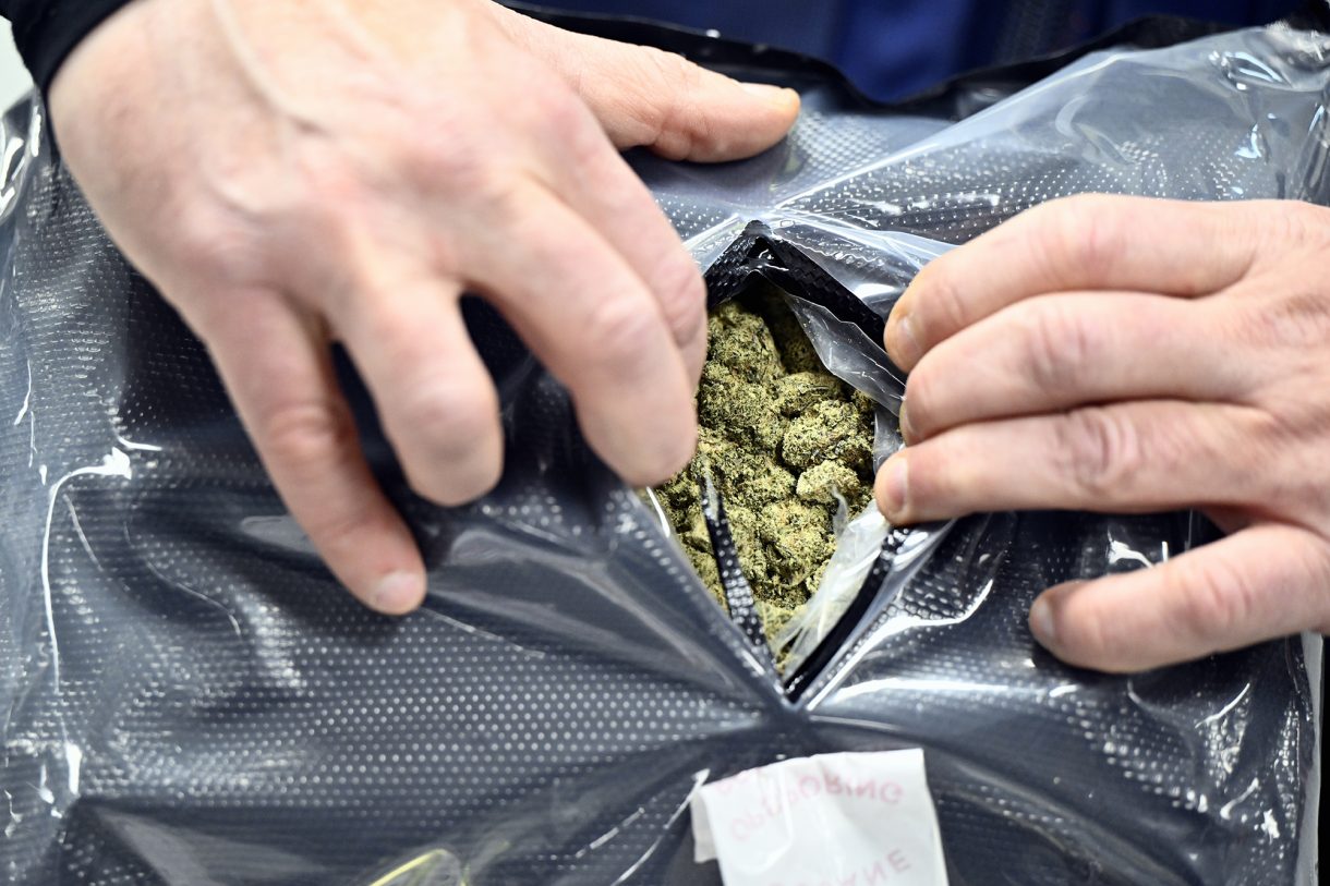 In Plastik verpacktes Cannabis, zwei Hände haben das Paket an einer Stelle aufgerissen, so dass das Cannabis sichtbar ist
