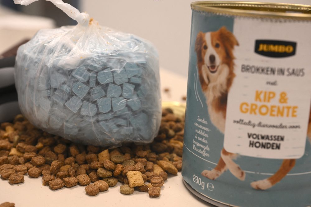 eine geöffnete Dose Hundefutter, daneben Trockenfutter und ein Beutel mit grauen Pillen