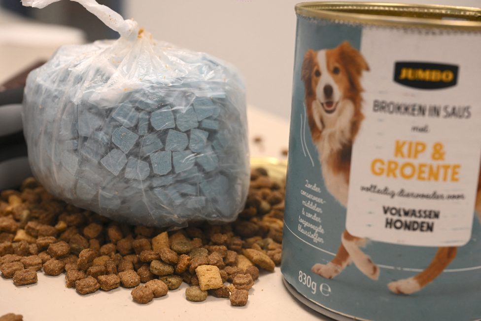 eine geöffnete Dose Hundefutter, daneben Trockenfutter und ein Beutel mit grauen Pillen