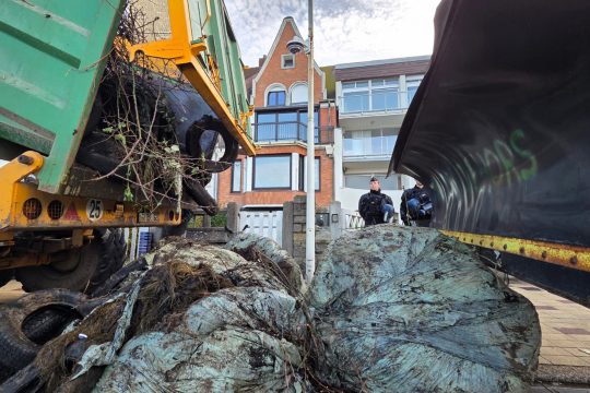 LKW kippen Reifen, Zweige und Kohlköpfe aus